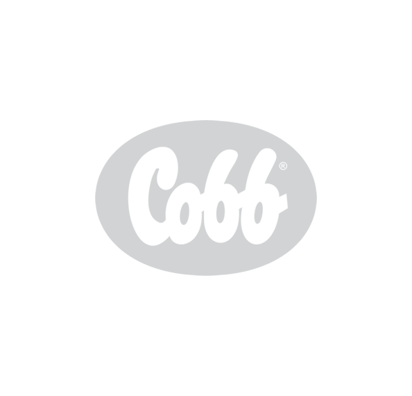 client image